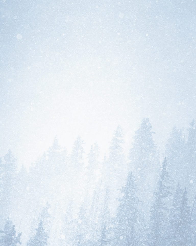 Fine-art photograph of pine trees in a blue snowstorm.
