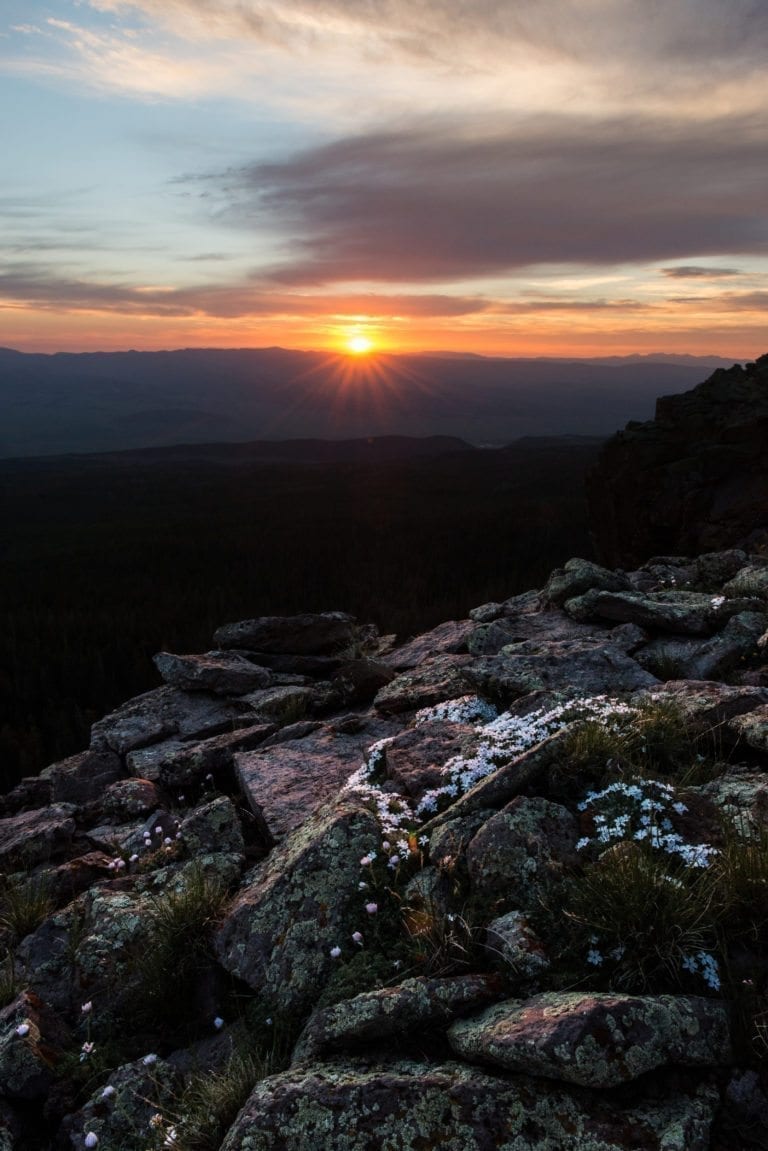 Sunset with flowers on Escalante Mountain