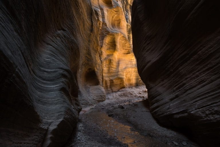 Golden light in Willis Canyon, Utah