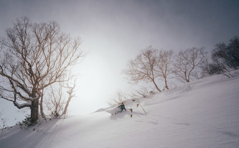 Fresh powder skiing in the Japanese Alps.