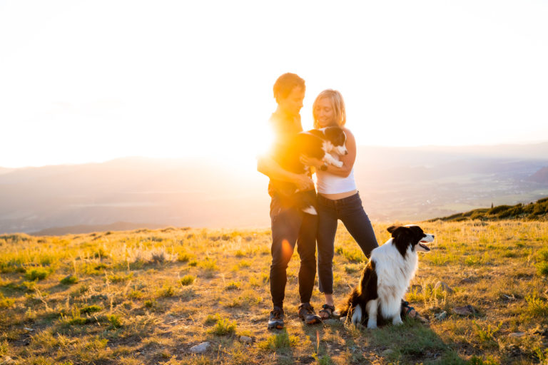 A couple watch a sunset with their border collies