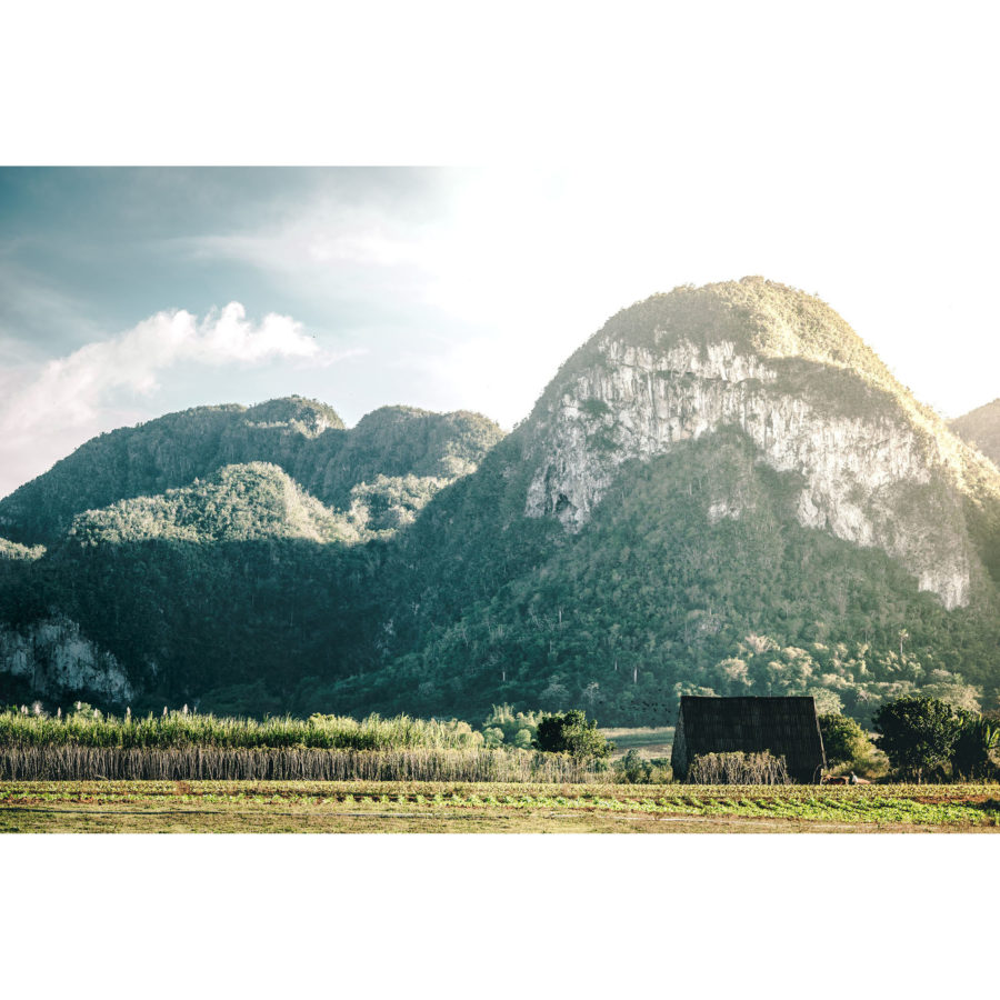Viñales