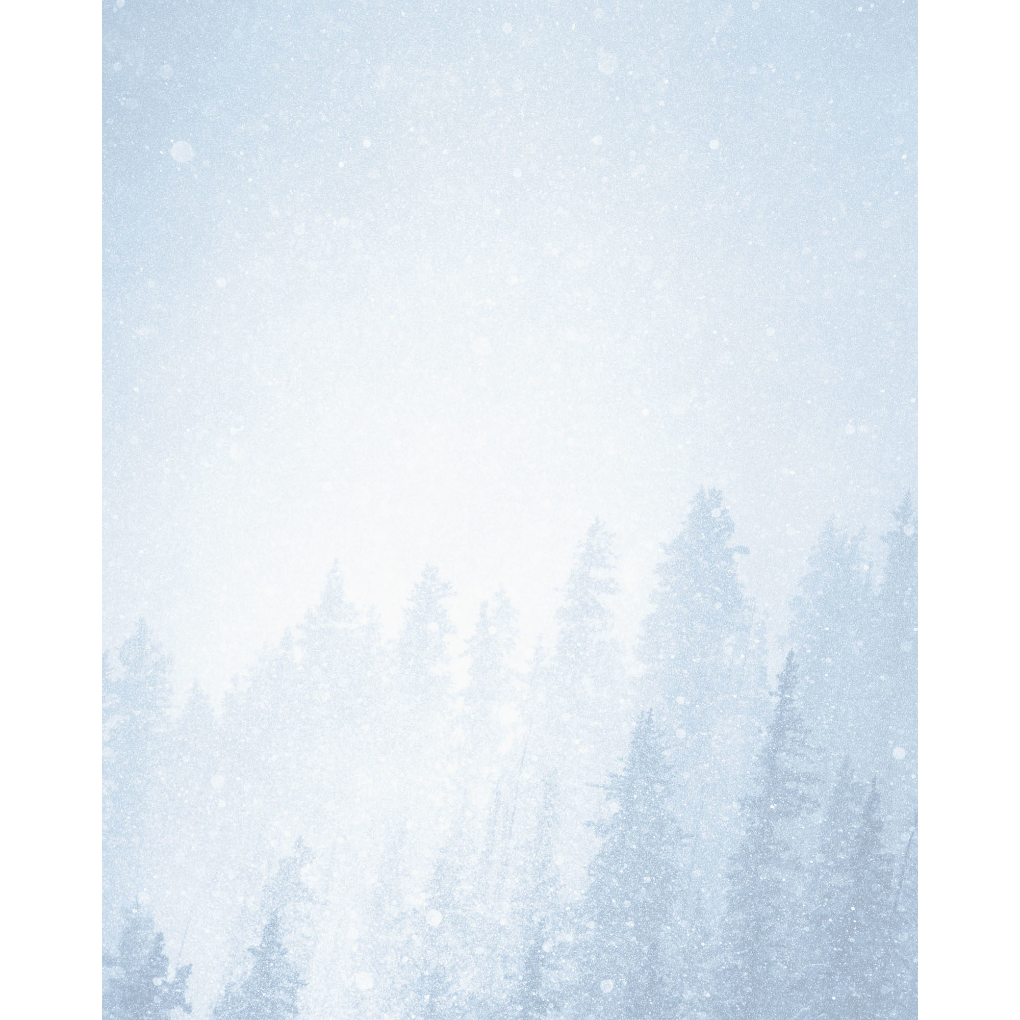 Snowy Trees