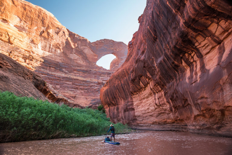 A standup paddleboarder descends the Escalante River, while looking up at Stevens Arch.