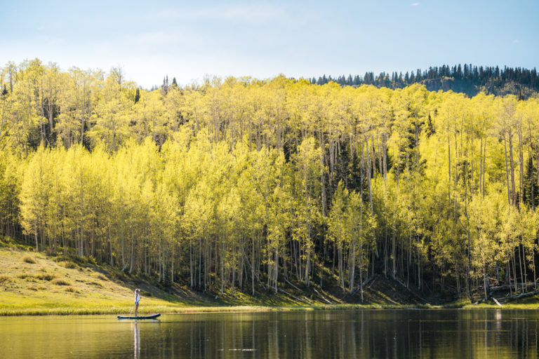 A woman looks at the changing leaves of aspen trees on a mountain lake in