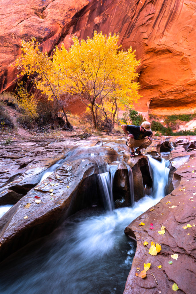 A man peers into a water feature in Coyote Gulch.