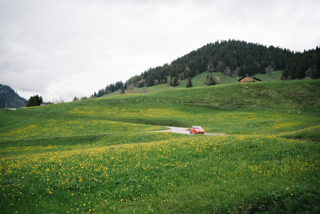 A fiat is parked in a beautiful Alpen meadow.