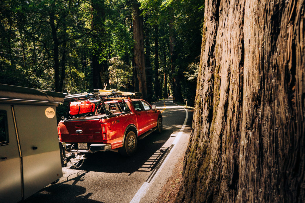 A Ford Ranger drives through the Red Wood Forest in northern California